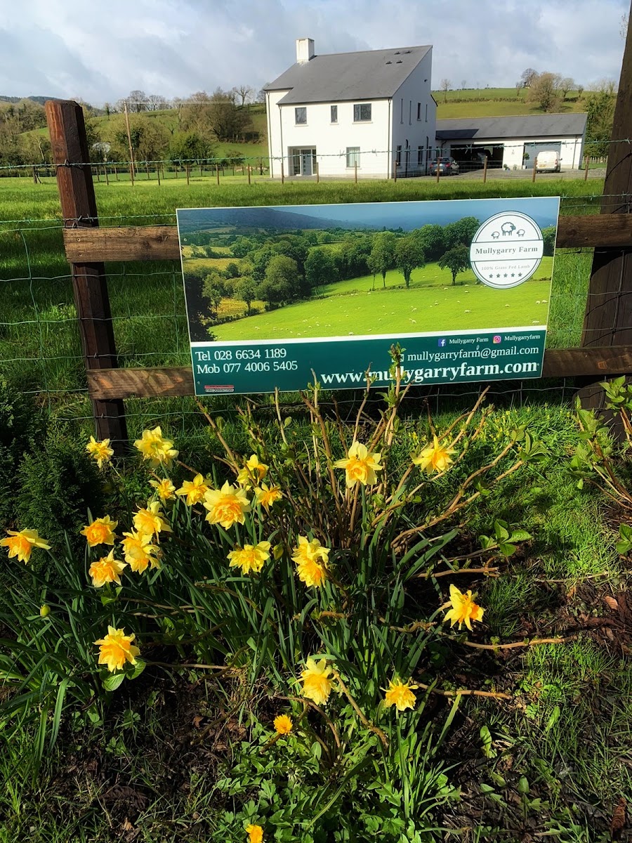Mullygarry Farm