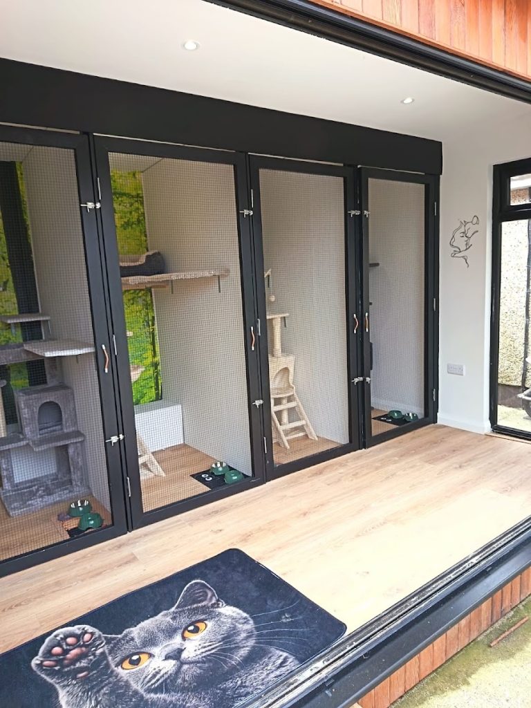 Olivia’s Cattery