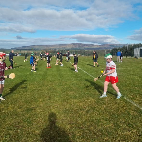 Pairc Na Magha