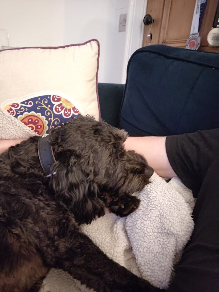 Paulines Rescue
