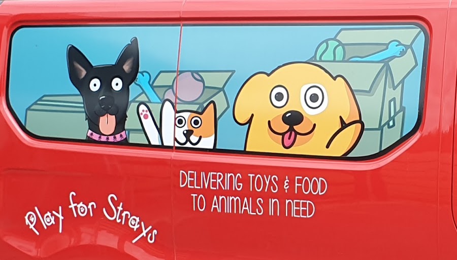 PlayforStrays