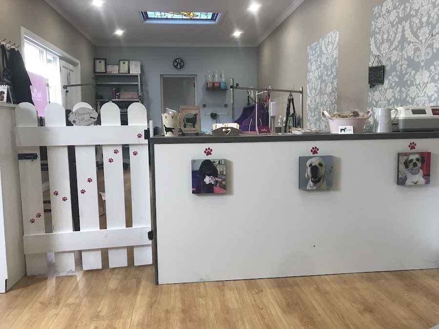 Posh Paws Dog Grooming by Laura