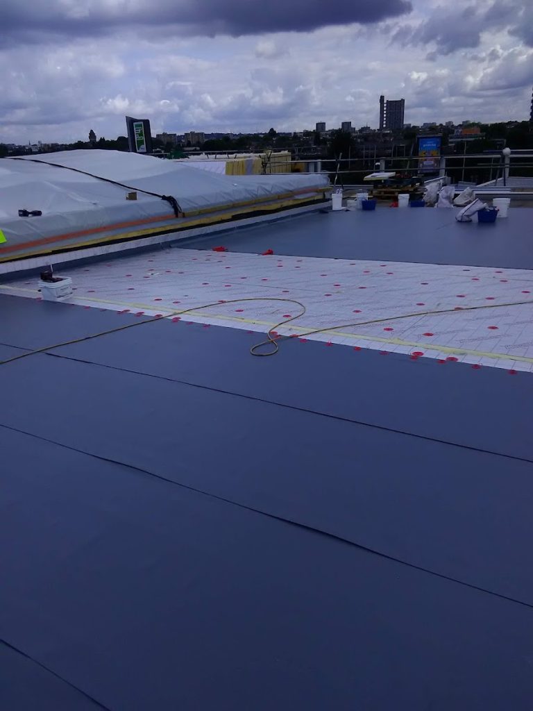 Professional Roofing Services