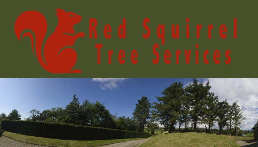 Red Squirrel Tree Services