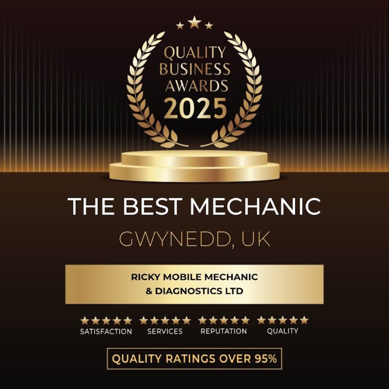 Ricky Mobile Mechanic & Diagnostics Ltd