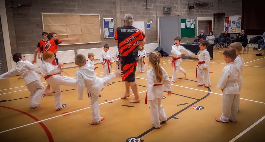 Savage Martial Arts Antrim