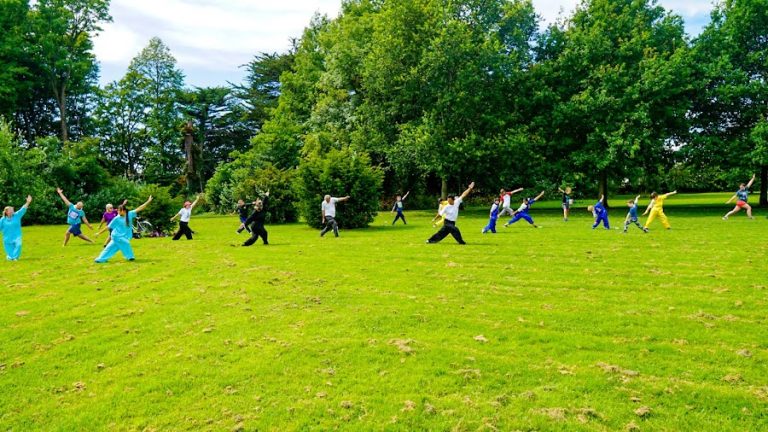 Shaolin Kung Fu Academy Ireland