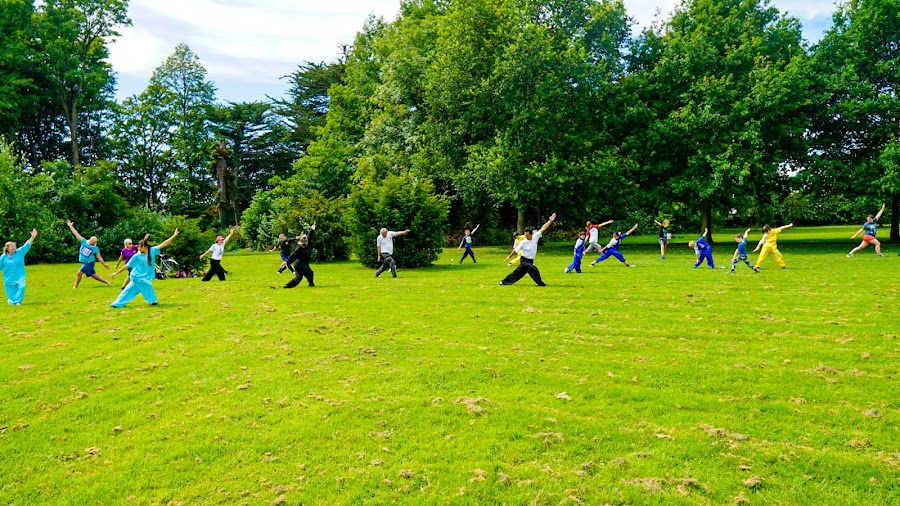 Shaolin Kung Fu Academy Ireland