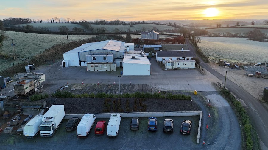 Sillis Green Veg Limited