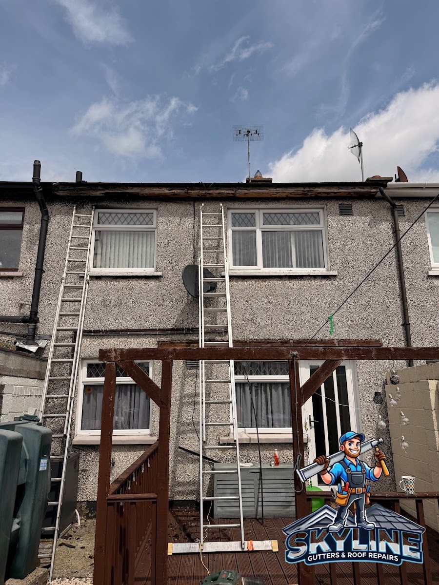 Skyline Gutters & Roof Repairs