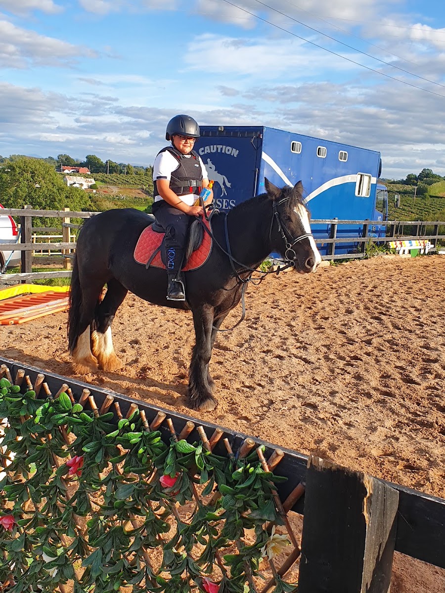 Smile Equestrian