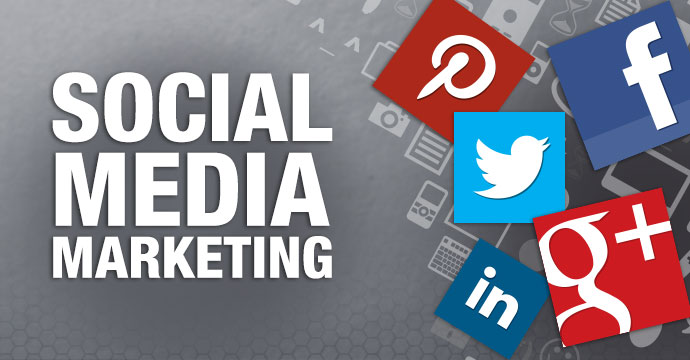 Social Insight