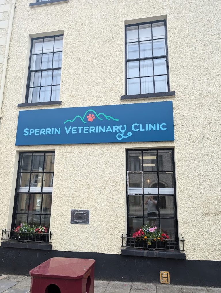 Sperrin Veterinary Clinic