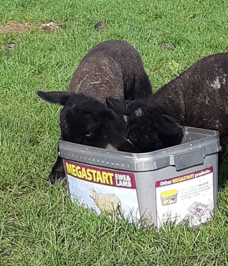 Stockmaster Agri
