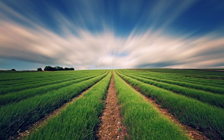 Termon Farm Supplies