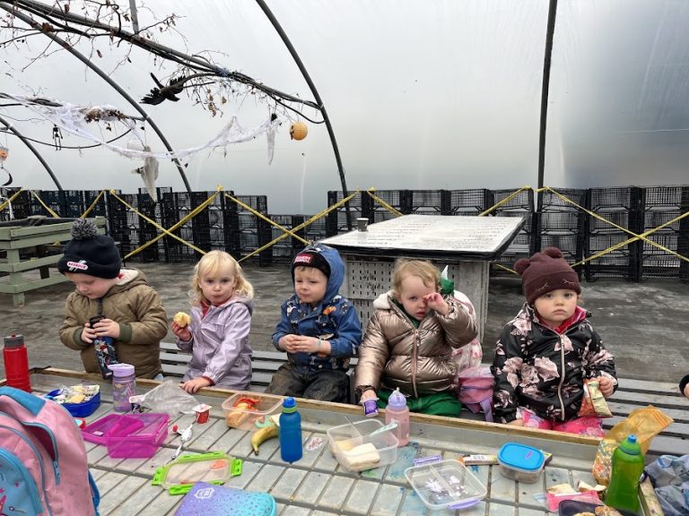 The Acorn Montessori Afterschool & Full Day Care
