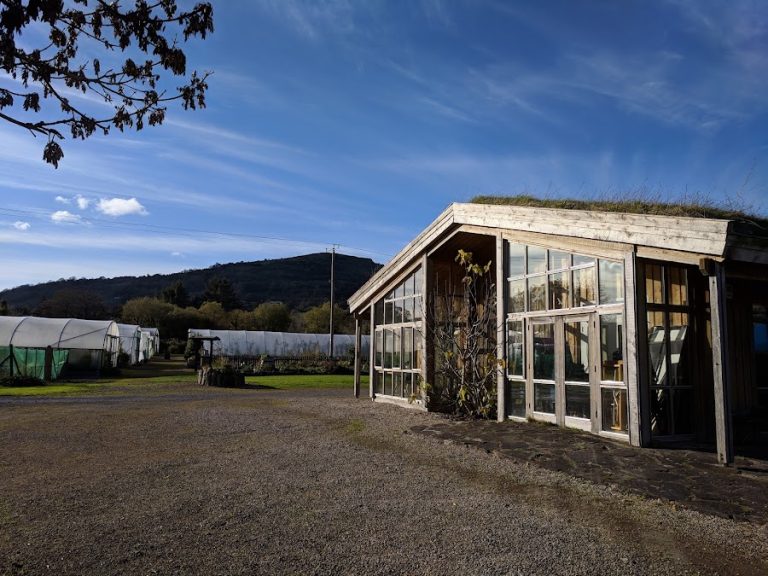 The Organic Centre