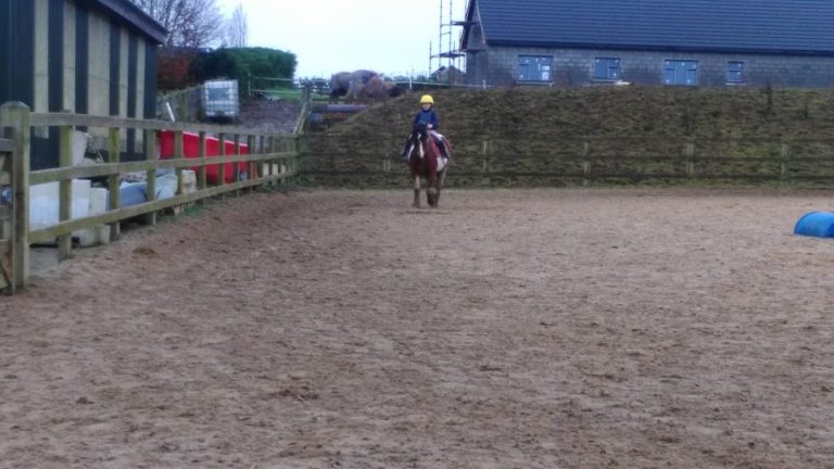 The Railings Riding School
