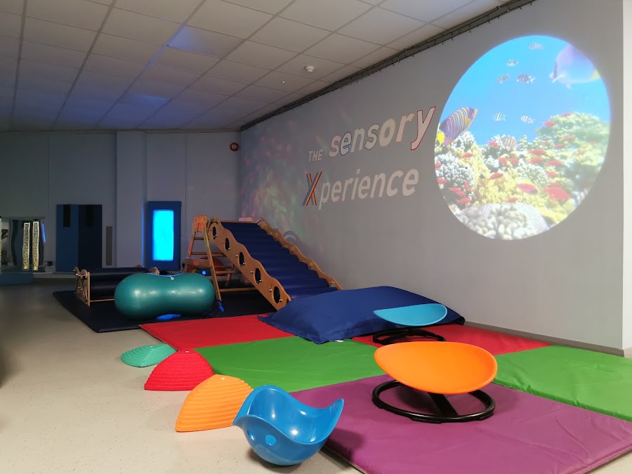 The Sensory Xperience