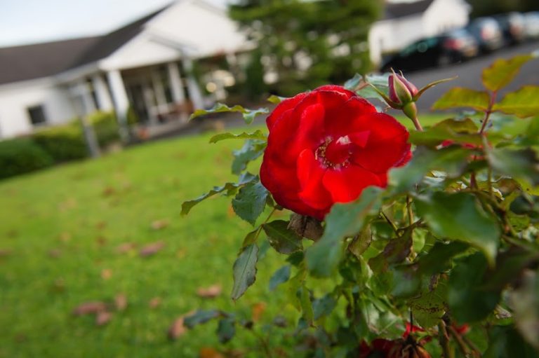 The Tilery Nursing Home
