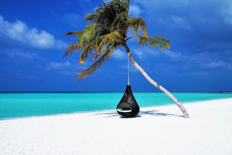 Thompson Travel International