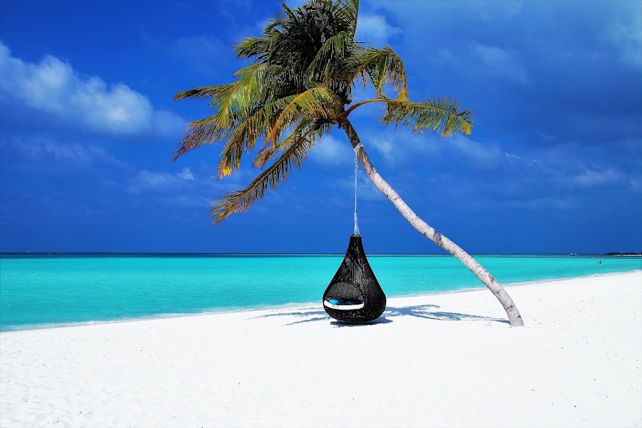 Thompson Travel International