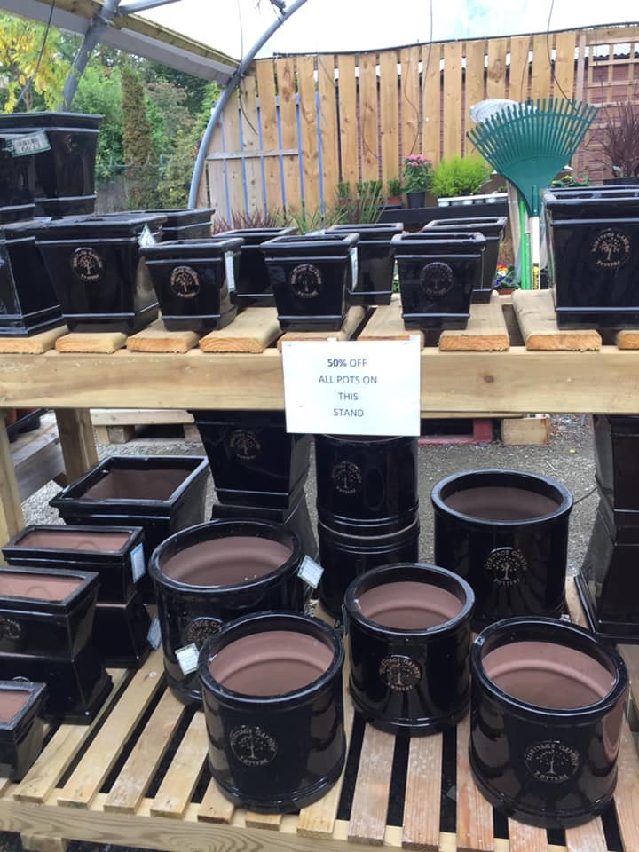Torrent Valley Nursery