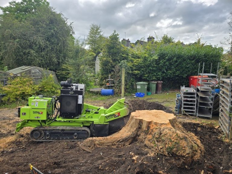 Tree Stump Services