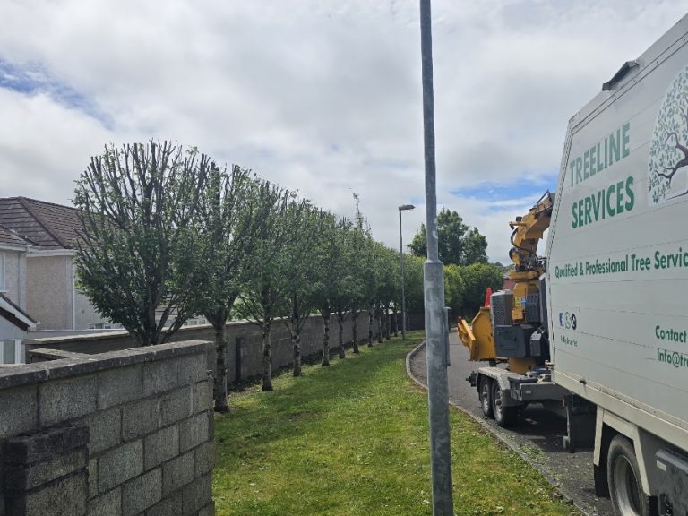 Treeline Services