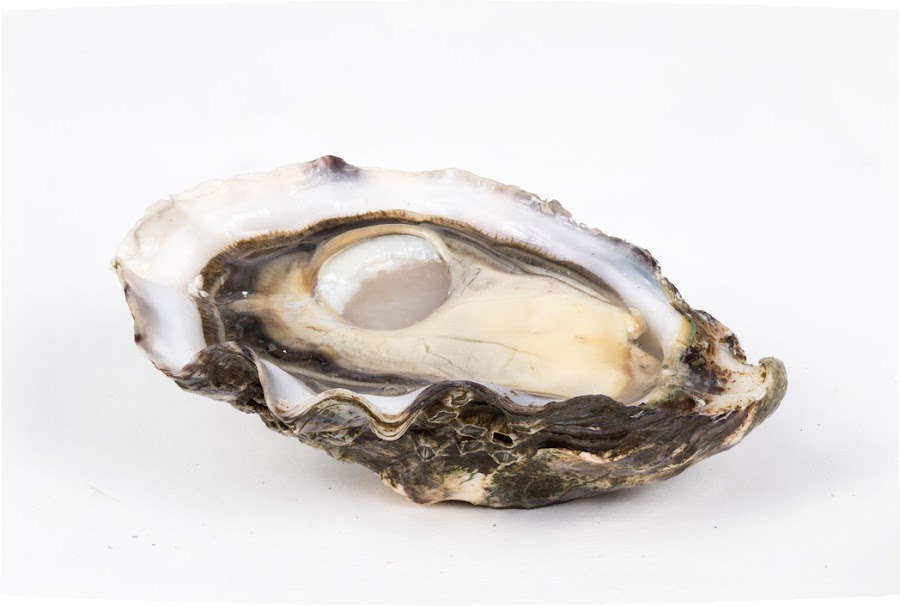Triskell Seafood Consulting