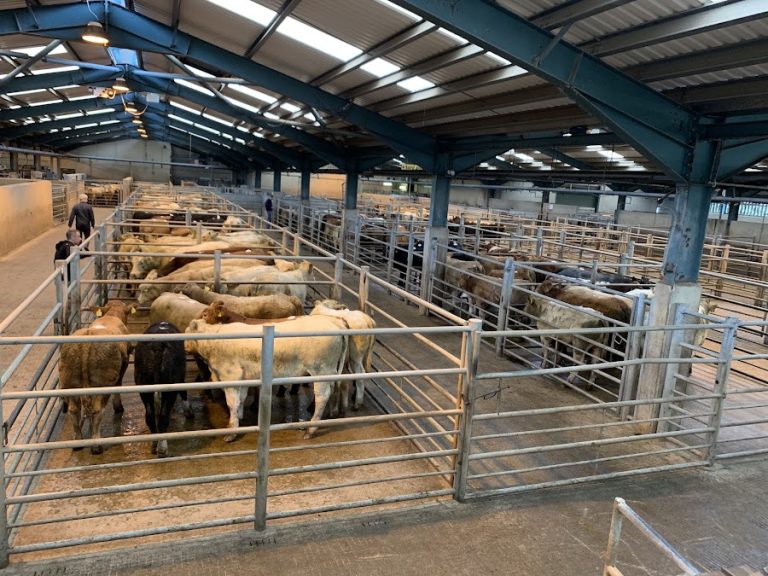 Ulster Farmers Mart Co Ltd