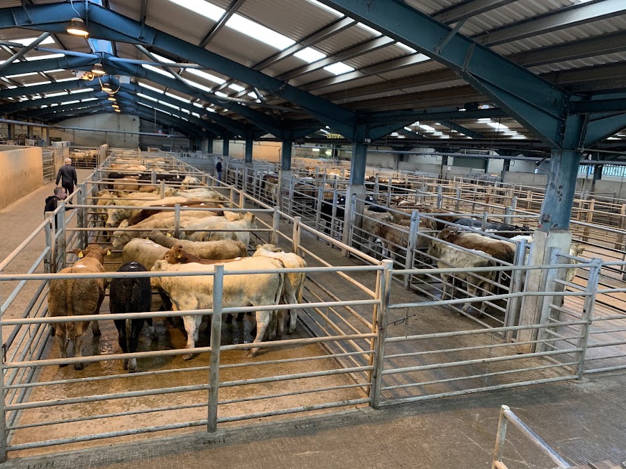 Ulster Farmers Mart Co Ltd