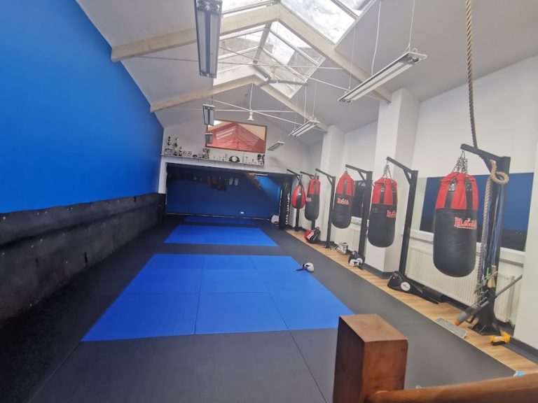 Vieira Martial Arts – Muay Thai & Fight Gym Dublin