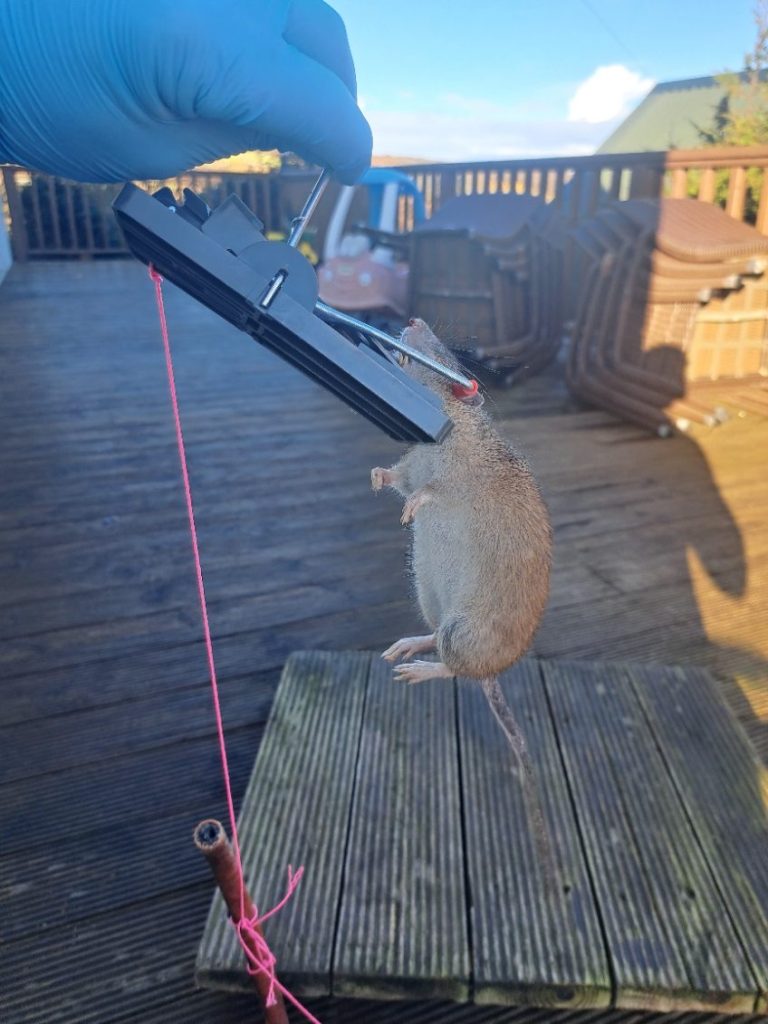 WB Pest Control Donegal