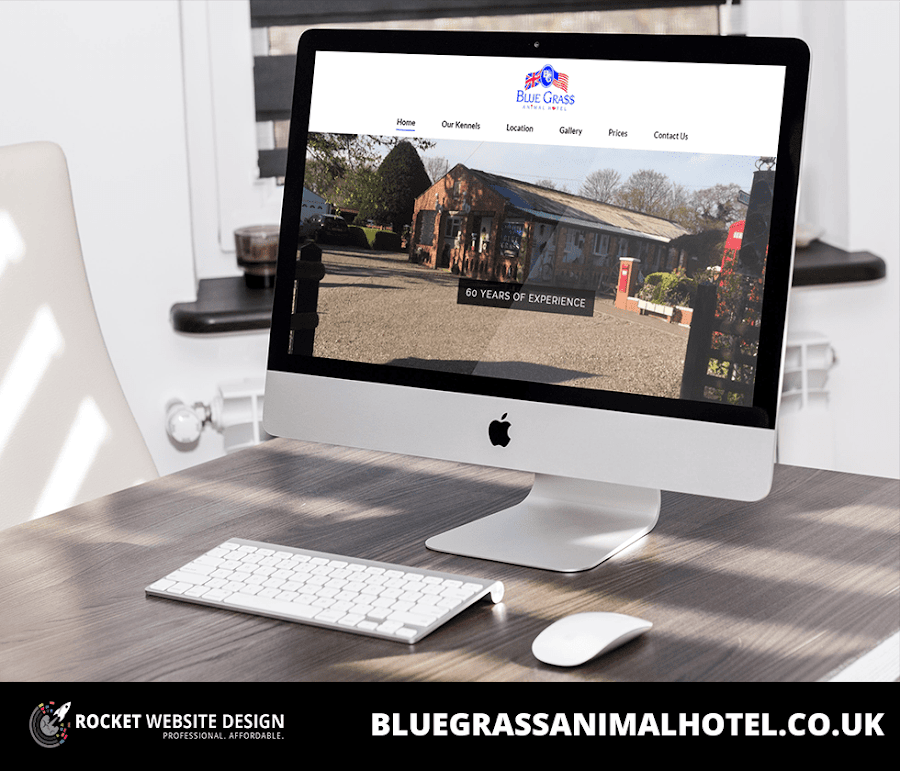 Website Design Ireland