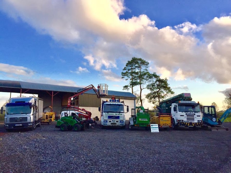 Wesley Monaghan Tree Services
