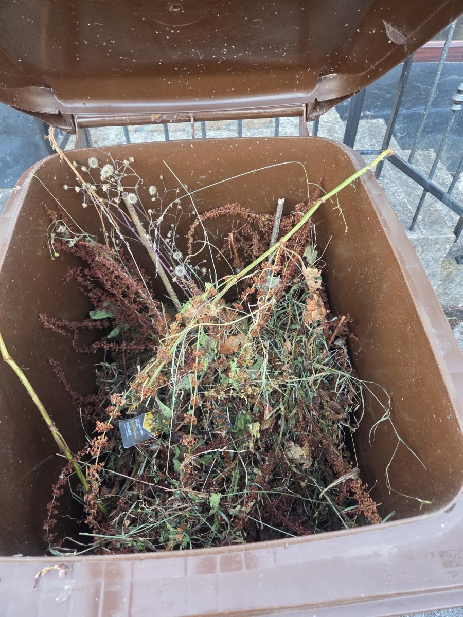 Wiser Recycling