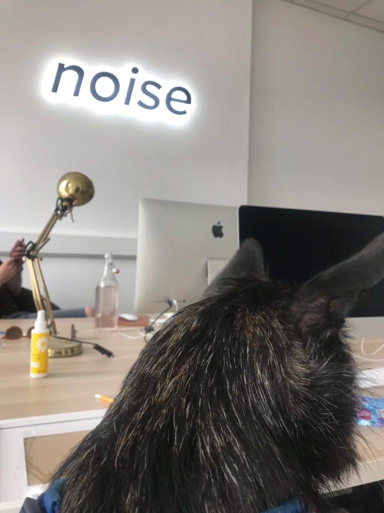 noise Agency
