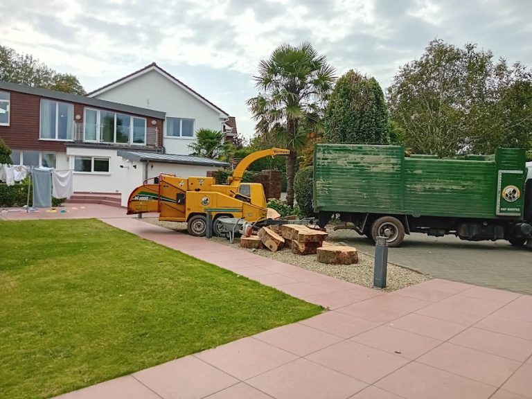 tree felling cork