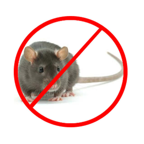 Bower Pest Control & Washroom Solutions Ltd