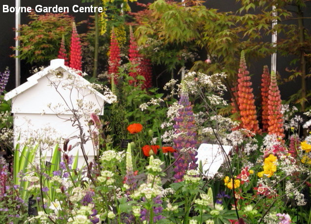 Boyne Garden Centre & Nursery