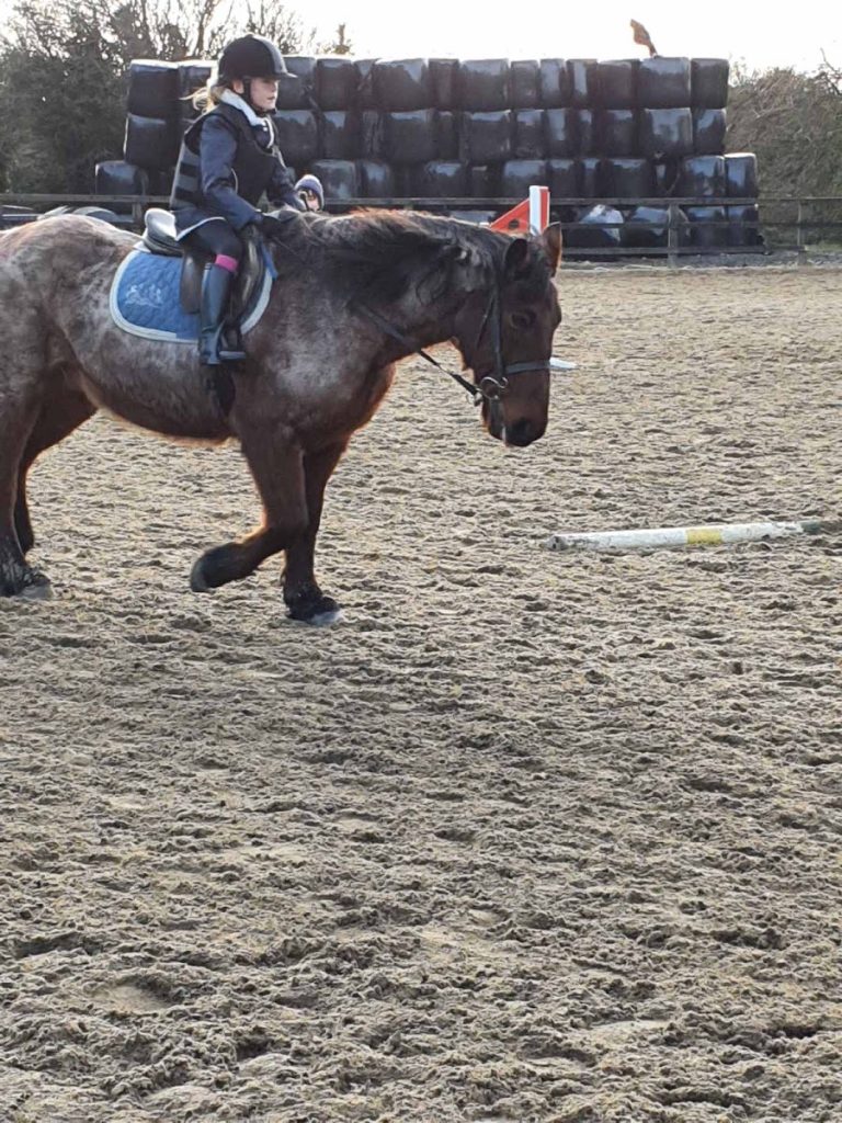 Broadmeadow Equestrian Centre