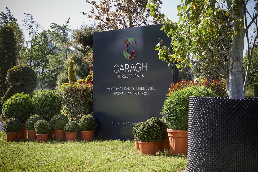 Caragh Nurseries