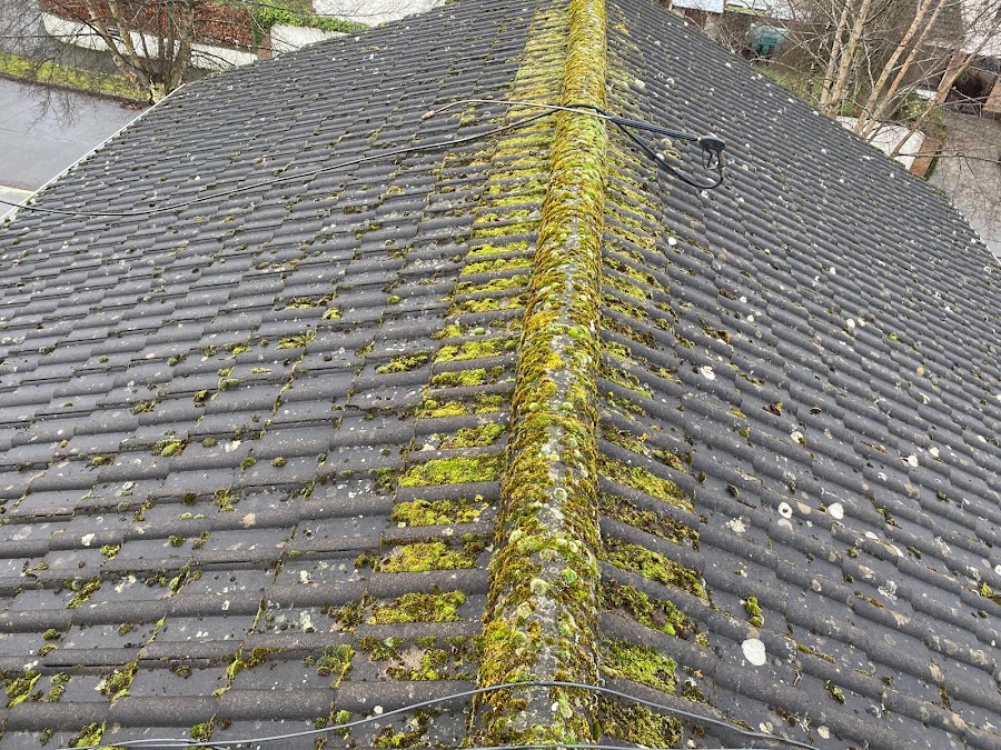 Clear Tech Cleaning Services / Roof Cleaning