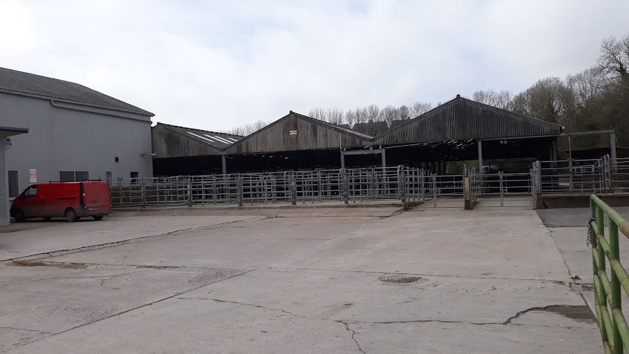 Cork Marts Dungarvan