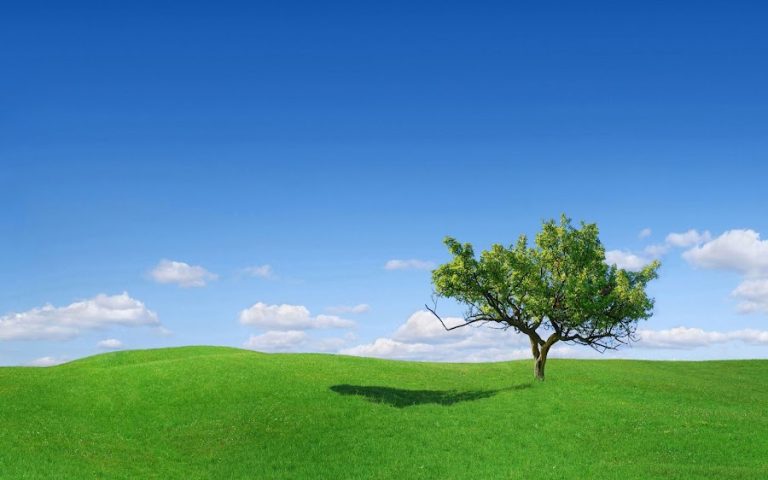 Counselling Kildare