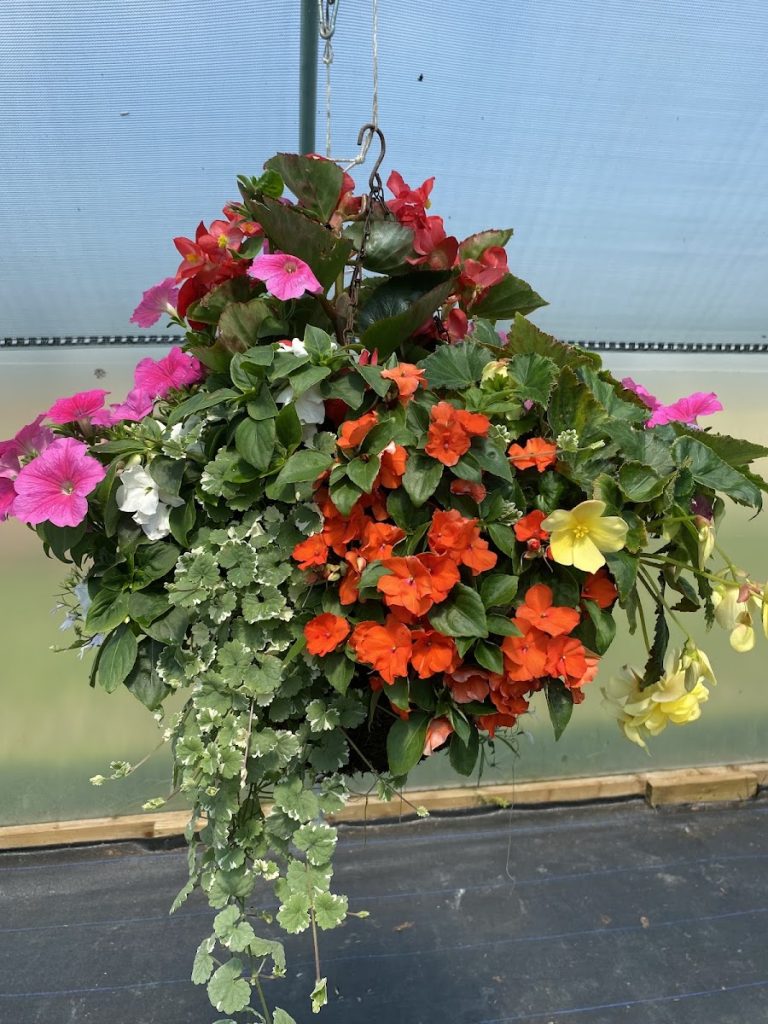 Deker Horticultural Suppliers Limited
