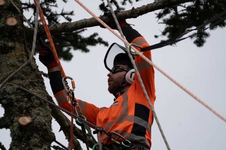 Glavey Tree Experts
