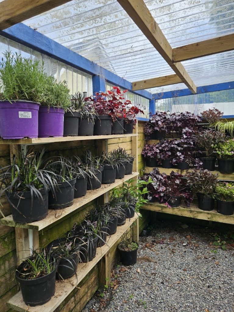 Green Lane Nurseries