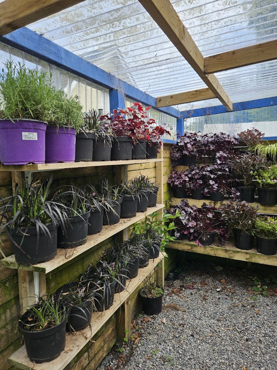 Green Lane Nurseries